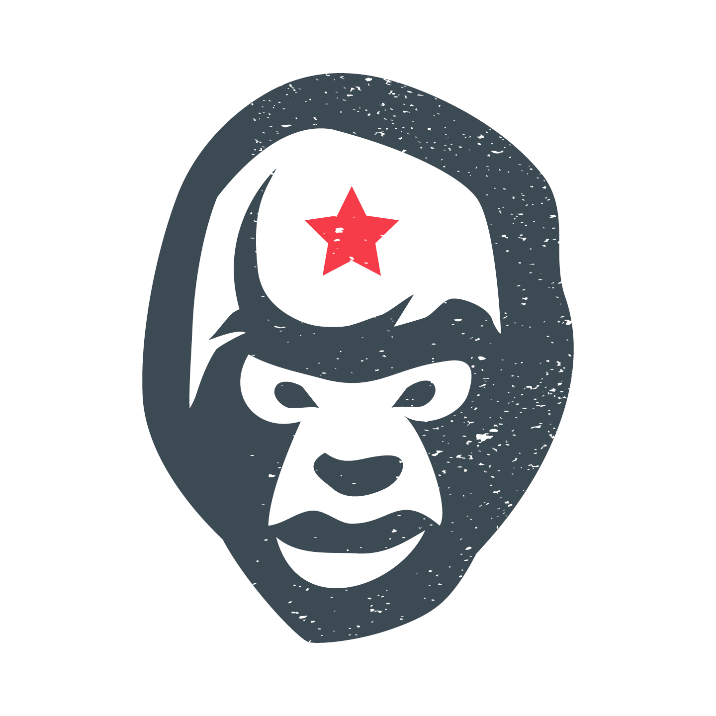 Guerrillas logo